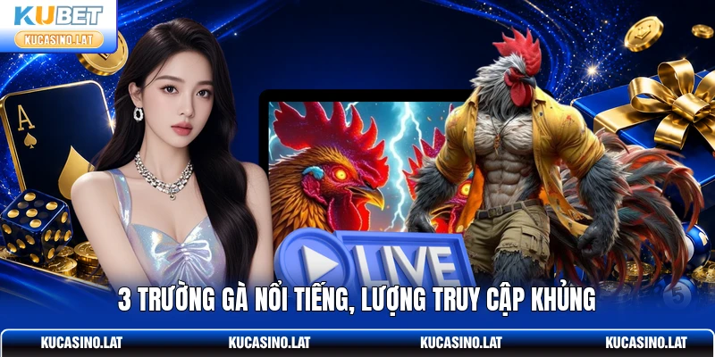3 trường gà nổi tiếng, lượng truy cập khủng 3 trường gà nổi tiếng, lượng truy cập khủng