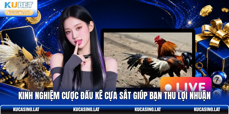 Kinh nghiệm cược đấu kê cựa sắt giúp bạn thu lợi nhuận