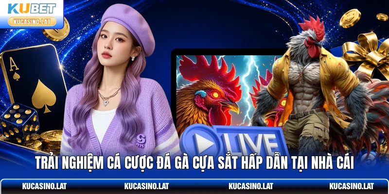 Trải nghiệm cá cược đá gà cựa sắt hấp dẫn tại nhà cái